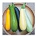 Photo David's Garden Seeds Zucchini Summer Melody 9112 (Multi) 50 Non-GMO, Heirloom Seeds review