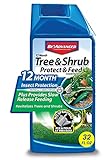 BioAdvanced 701901 12-Month Tree and Shrub Protect and Feed Insect Killer and Fertilizer, 32-Ounce, Concentrate Photo, new 2024, best price $21.98 review