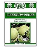 Honeydew Melon Seeds - 50 Seeds Non-GMO Photo, new 2024, best price  review