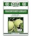 Photo Honeydew Melon Seeds - 50 Seeds Non-GMO review