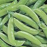 Park Seed Super Sugar Snap Pea Seeds Photo, new 2024, best price $6.50 review