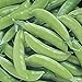Photo Park Seed Super Sugar Snap Pea Seeds review