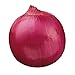 Photo Burpee Red Creole Onion Seeds 300 seeds review