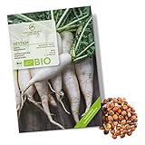 BIO Rettich Samen (Japanischer Daikon) - Rettich Saatgut aus biologischem Anbau ideal für die Anzucht im Garten, Balkon oder Terrasse Foto, neu 2024, bester Preis 4,90 € Rezension