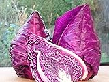 Seeds Cabbage Red Kalibos Vegetable Heirloom for Planting Non GMO Photo, new 2024, best price $8.99 review