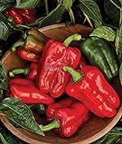 Burpee Great Stuff Sweet Pepper Seeds 40 seeds Photo, new 2024, best price $7.65 ($0.19 / Count) review