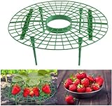 JJZJ 5 Pack Strawberry Supports with 4 Sturdy Legs for Keeping Plant Clean and Not Rot in Rainy Days Photo, new 2024, best price $11.99 review