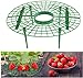 Photo JJZJ 5 Pack Strawberry Supports with 4 Sturdy Legs for Keeping Plant Clean and Not Rot in Rainy Days review