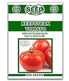Beefsteak Tomato Seeds - 250 Seeds Non-GMO Photo, new 2024, best price $1.79 review