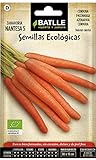 Semillas Ecológicas Hortícolas - Zanahoria Nantesa 5 - ECO - Batlle Foto, nuevo 2024, mejor precio 1,76 € revisión