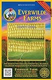 Everwilde Farms - 100 Kandy Korn Hybrid Sweet Corn Seeds - Gold Vault Jumbo Seed Packet Photo, new 2024, best price $3.96 review
