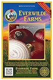 Everwilde Farms - 500 Red Burgundy Onion Seeds - Gold Vault Jumbo Seed Packet Photo, new 2024, best price $2.98 review