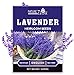 Photo 1400 English Lavender Seeds for Planting Indoors or Outdoors, 90% Germination, to Give You The Lavender Plant You Need, Non-GMO, Heirloom Herb Seeds review