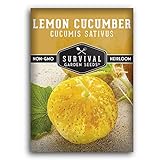 Survival Garden Seeds - Lemon Cucumber Seed for Planting - Packet with Instructions to Plant and Grow Little Yellow Cucumbers in Your Home Vegetable Garden - Non-GMO Heirloom Variety Photo, new 2024, best price $4.99 review
