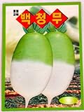 Radish Seeds Korean.2 Pack(4grams-Each) Photo, new 2024, best price $5.95 review