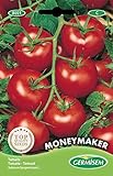 Germisem Moneymacker Semillas de Tomate 1.5 g (EC8021) Foto, nuevo 2024, mejor precio 2,21 € revisión
