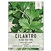 Photo Seed Needs, Cilantro Culinary Herb Seeds for Planting (Coriandrum sativum) Single Package of 250 Seeds Non-GMO / Untreated review