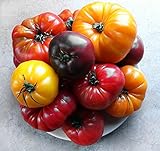 This is A Mix!!! 30+ Rainbow Deluxe Tomato Seeds Mix 16 Varieties, Heirloom Non-GMO, Indeterminate, Old German, Chocolate Stripes, Ukrainian Purple, Amish Paste USA Photo, new 2024, best price $5.69 review
