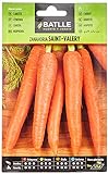Zanahoria SAINT VALERY Foto, nuevo 2024, mejor precio 1,60 € revisión