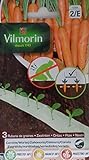 3 Cintas biodegradables Vilmorin 525 semillas de ZANAHORIA (cultivo fácil) Foto, nuevo 2024, mejor precio 9,61 € revisión