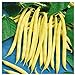 Photo Everwilde Farms - 1/4 Lb Organic Golden Wax Yellow Bean Seeds - Gold Vault review