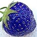 Foto TOYHEART 200 Stück Premium-Fruchtsamen, Erdbeersamen, Nahrhafte, Fruchtbare, Natürliche Pflanzensamen Mit Blauen Pflanzen Für Den Innenhof Blau Rezension