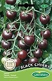 Germisem Black Cherry Tomate 20 Semillas (EC8020) Foto, nuevo 2024, mejor precio 2,21 € revisión