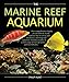 Photo The Marine Reef Aquarium review