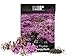 Photo 1,000 Creeping Thyme Seeds for Planting - Heirloom Non-GMO Ground Cover Seeds - AKA Breckland Thyme, Mother of Thyme, Wild Thyme, Thymus Serpyllum - Purple Flowers review