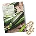 Foto BIO Zucchini Samen (Nero di Milano) - Zucchini Saatgut aus biologischem Anbau ideal für die Anzucht im Garten, Balkon oder Terrasse Rezension