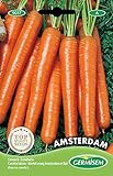 Germisem Amsterdam Semillas de Zanahoria 6 g Foto, nuevo 2024, mejor precio 2,21 € revisión