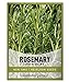 Photo Rosemary Seeds for Planting - It is A Great Heirloom, Non-GMO Herb Variety- Great for Indoor and Outdoor Gardening by Gardeners Basics review
