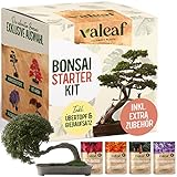 valeaf Bonsai Starter Kit - SUMMER SALE - Züchten Sie Ihren eigenen Bonsai Baum - Anzuchtset inkl. 4 Sorten Bonsai Samen & Zubehör - für Anfänger - das ideale Geschenk zum Baum pflanzen Foto, neu 2024, bester Preis 14,99 € Rezension