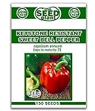 Keystone Resistant Sweet Bell Pepper Seeds 150 Seeds Non-GMO Photo, new 2024, best price $1.89 ($0.01 / Count) review
