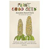 Zanadoo Sweet Corn Seeds - Pack of 30, Certified Organic, Non-GMO, Open Pollinated, Untreated Vegetable Seeds for Planting – from USA Photo, new 2024, best price $7.49 review
