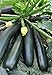 Photo Seeds Zucchini Squash Black Beauty Vegetable for Planting Heirloom Non GMO review