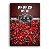 Survival Garden Seeds - Red Cayenne Pepper Seed for Planting - Packet with Instructions to Plant and Grow Hot Chili Peppers in Your Home Vegetable Garden - Non-GMO Heirloom Variety - Single Pack Photo, new 2024, best price $4.99 review