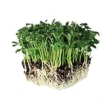 Speckled Pea Sprouting Seeds - 5 Lbs - Certified Organic, Non-GMO Green Pea Sprout Seeds - Sprouts & Microgreens Photo, new 2024, best price $23.46 review