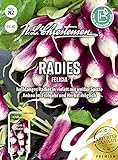 01140 N. L. Chrestensen Radieschen Samen Felicia | Frühreifend | Radieschen Saatgut | Mild und Würzig… Foto, neu 2024, bester Preis 3,70 € (3,70 € / count) Rezension
