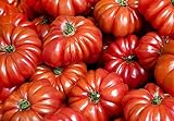 30+ Costoluto Genovese Pomodoro Tomato Seeds, Heirloom Non-GMO, Low Acid, Indeterminate, Open-Pollinated, Productive, from USA Photo, new 2024, best price $2.65 review