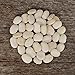 Photo Henderson's Bush Lima Bean - 50 Seeds - Heirloom & Open-Pollinated Variety, USA-Grown, Non-GMO Vegetable/Dry Bean Seeds for Planting Outdoors in The Home Garden, Thresh Seed Company review