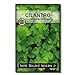 Photo Sow Right Seeds - Cilantro Seed - Non-GMO Heirloom Seeds with Full Instructions for Planting an Easy to Grow herb Garden, Indoor or Outdoor; Great Gift (1 Packet) review