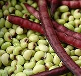 David's Garden Seeds Southern Pea (Cowpea) Pinkeye Top Pick 9786 (Purple) 100 Non-GMO, Open Pollinated Seeds Photo, new 2024, best price $4.45 review