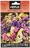 Semillas de Flores - Statice Sinuata variado - Batlle Foto, nuevo 2024, mejor precio 1,88 € revisión