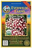 Everwilde Farms - 250 Organic French Breakfast Radish Seeds - Gold Vault Packet Photo, new 2024, best price $3.75 review