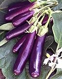 Eggplant , Long Purple Eggplant Seeds, Heirloom, Non GMO, 25 Seeds, Garden Seed, Long Purple, Heirloom, Non GMO, 25+Seeds, Garden Seed Photo, new 2024, best price $1.99 ($0.08 / Count) review