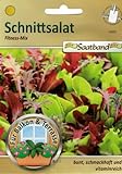 Schnittsalat Fitness Mix Saatband für Balkon & Terrasse bunt schmackhaft vitaminreich 43020 Salat Foto, neu 2024, bester Preis 2,65 € Rezension