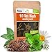 Photo 10 Herbal and Medical Tea Seeds Pack - Heirloom and Non GMO, Grown in USA - Indoor or Outdoor Garden - Chamomile, Lavender, Mint, Lemon Balm, Catnip, Peppermint, Anise, Coneflower Echinacea & More review