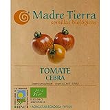Madre Tierra - Semillas Ecologicas de Tomate Cebra -( Licopersicum Sculentum) Origen Alicante- España - Semillas Especiales - 1.5 gramos Foto, nuevo 2024, mejor precio 9,73 € revisión