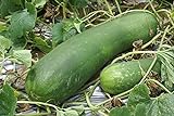 20 Organic Huge Chinese Asian Winter Melon Seeds Wax Gourd - Seed from Year 2021 USA Photo, new 2024, best price $7.98 review